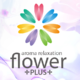 flower PLUS~フラワー プラス~
